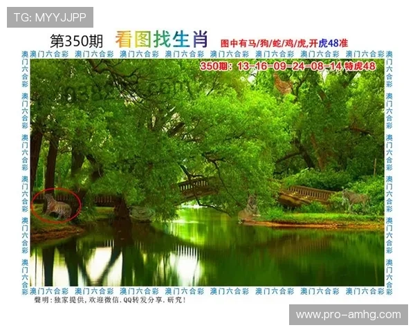 澳门财神客户端最新版本下载,安全稳定的游戏体验推荐